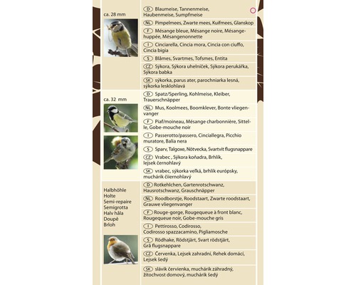 Image de différentes espèces d''oiseaux: Mésange bleue, Moineau, Rouge-gorge