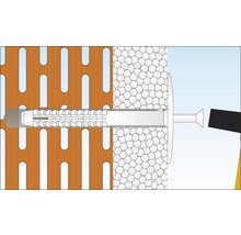 Chevilles pour isolant Tox Husky 10/210 50 pièces-thumb-5