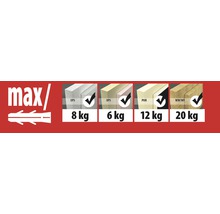 Cheville pour isolant Thermo 155 Tox, 50 pièces