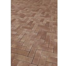 Pavés posés en motif à chevrons pour l''extérieur