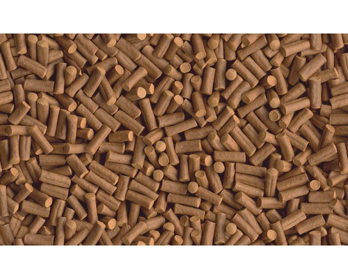 Gros plan sur les bâtonnets d''encens pour fumoir