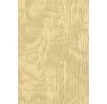 Gros plan de la texture du bois