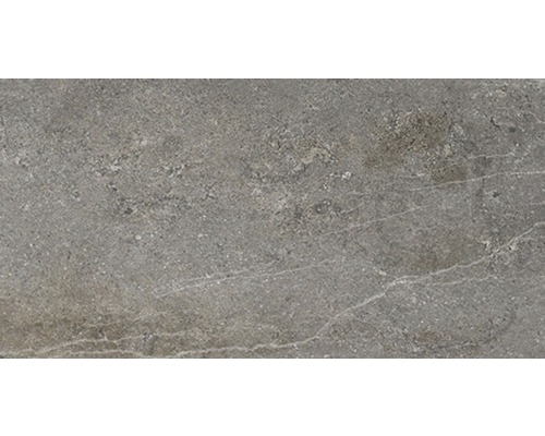 Carrelage pour sol en grès cérame fin Dover Natural 32x62,5 cm