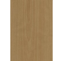 Holzstruktur Buche