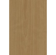 Holzstruktur einer Holzplatte