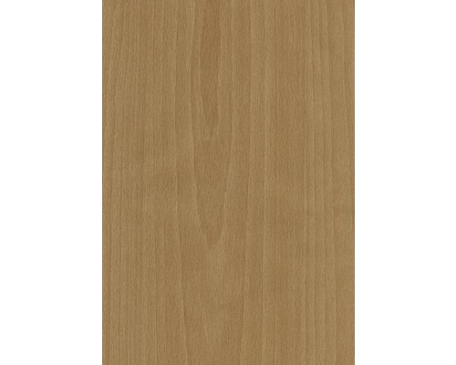 Texture du bois d''un panneau de bois