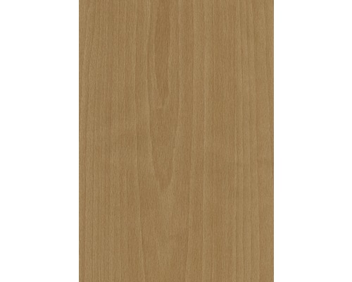 Panneau de bois en hêtre