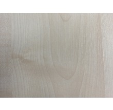 Möbelbauplatte Ahorn 19x400x2630 mm-thumb-3