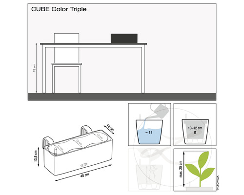 Illustration d''un pot de fleurs CUBE Color Triple avec des dimensions et des instructions de plantation