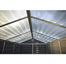 Remise à outils Palram – Canopia Skylight 6x10 avec plancher 185,5 x 305,5 cm gris