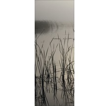 Roseaux dans l''eau sous un ciel brumeux