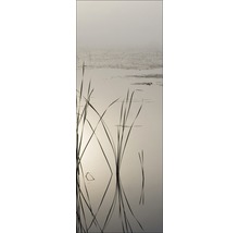 Roseaux dans l''eau avec un fond brumeux