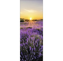 Tableau en verre Beautiful Lavendel set de 3 3x 30x80 cm GLA919