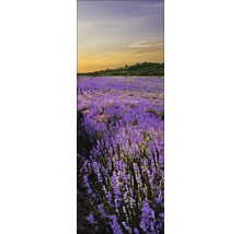 Tableau en verre Beautiful Lavendel set de 3 3x 30x80 cm GLA919