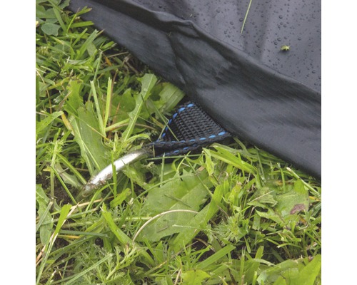 Detailansicht eines Zeltes mit Hering im Gras