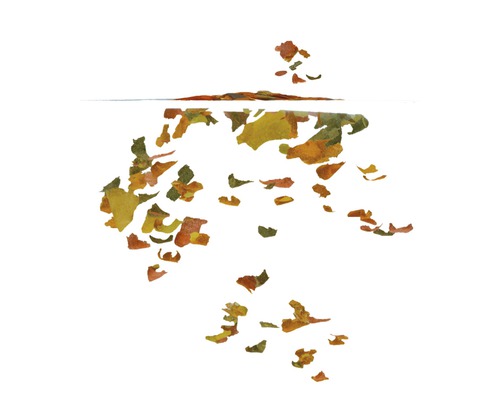 Fischfutterflocken im Wasser