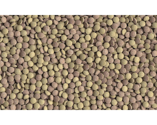 Nombreux comprimés de nourriture pour poissons