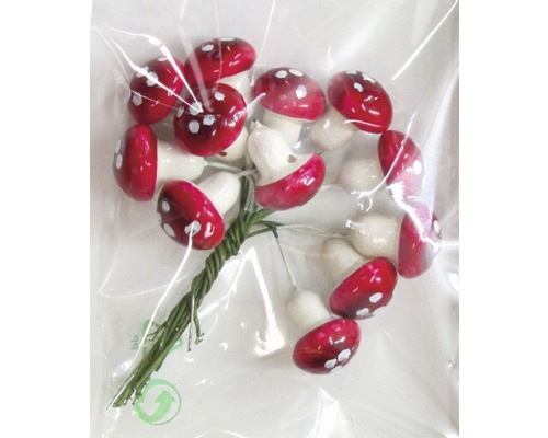 Dekorative Fliegenpilze mit Draht in einer Verpackung