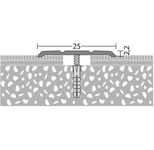 Illustration eines T-Profils mit Befestigungsschraube zur Verbindung von Bodenbelägen unterschiedlicher Höhe