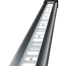 Éclairage d'aquarium Tetra Tetronic LED ProLine 780 120 mm 19 W