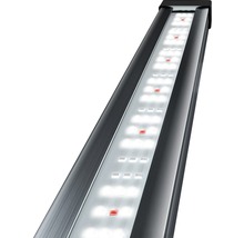 Éclairage d'aquarium Tetra Tetronic LED ProLine 980 120 mm 22 W