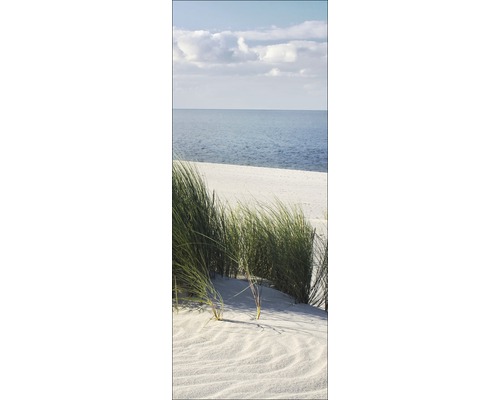 Herbe des dunes sur la plage avec vue sur la mer