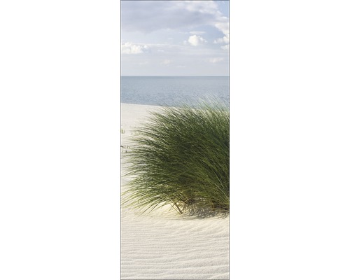 Herbe des dunes sur la plage avec vue sur la mer