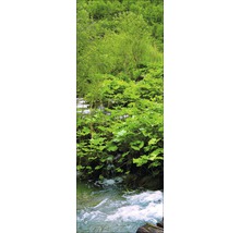 Fliessendes Gewässer mit Ufervegetation