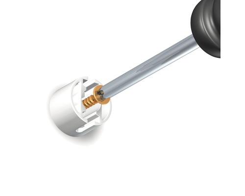 Schraubendreher befestigt Schraube in Halterung