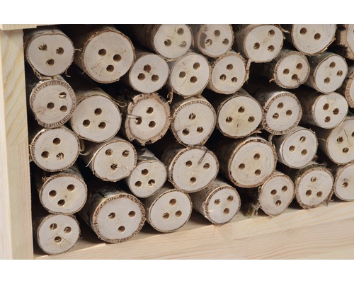 Insektenhotel mit Bohrlöchern in Holzstämmen