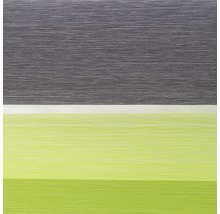 Store jour/nuit Lichtblick sans perçage gris-anthracite-vert 80x150 cm avec support à clipser-thumb-4