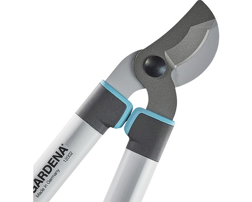 Sécateur pour l''élagage des arbres