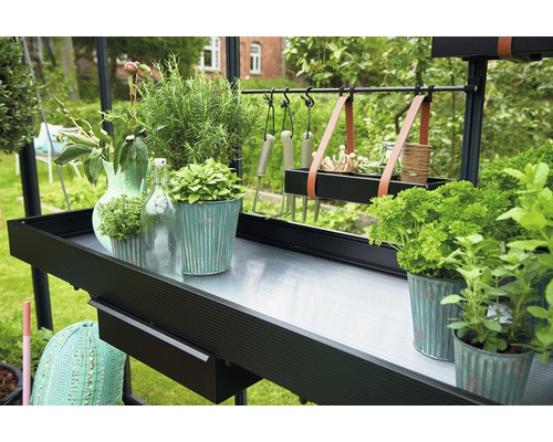 Table de jardin avec plantes, herbes aromatiques et outils de jardin dans une serre