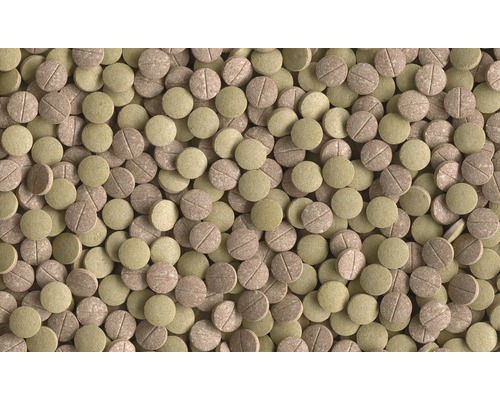 Nombreux comprimés d''alimentation pour poissons de bassin