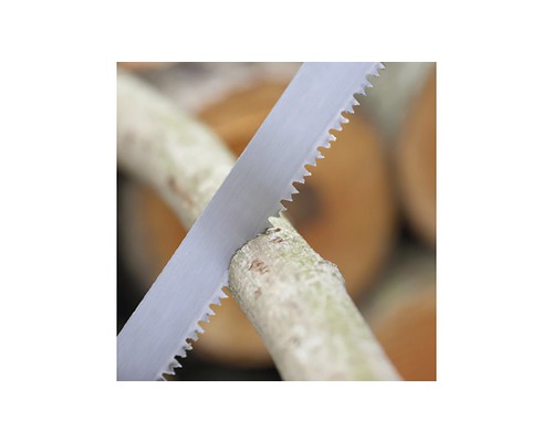 Handsäge schneidet einen Ast.