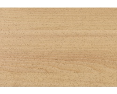 Structure en bois hêtre