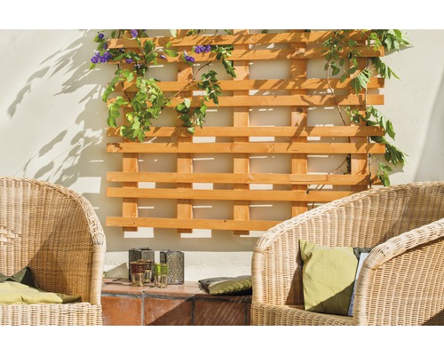 Trellis en bois avec plantes grimpantes et mobilier de jardin à l''extérieur