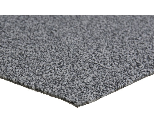 Moquette grise