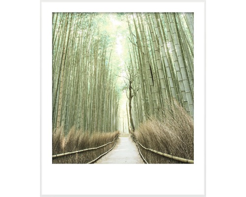 Gerahmtes Bild eines Weges durch einen Bambuswald