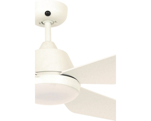 Ventilateur de plafond avec pales