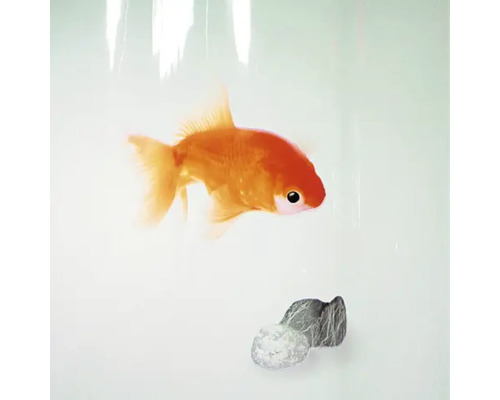 Poisson rouge dans un aquarium avec pierre