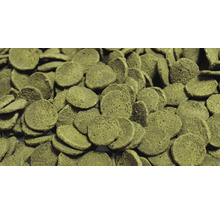 Fischnahrung in Tablettenform