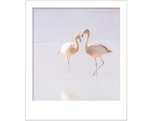 Image encadrée de deux flamants roses