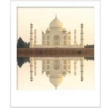 Premium Wandfarbe Style Color SELECTION 22 konservierungsmittelfrei Taj Mahal 2,5 L-thumb-5