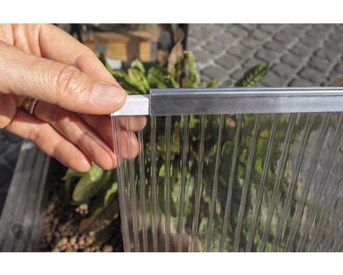 Imperméabilisation pour panneaux alvéolés Vitavia M 5000-6500 Gros plan d''une plaque alvéolaire transparente avec profilé de fixation