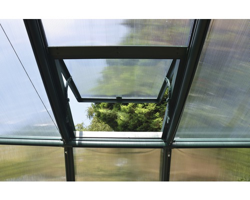 Ansicht von innen eines Gewächshauses mit geöffnetem Fenster