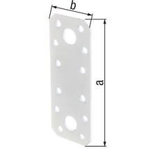 Metallverbinder mit Löchern und Dimensionsangaben