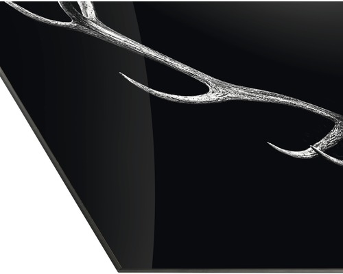 Detailansicht einer Acrylglasplatte mit Geweihmotiv