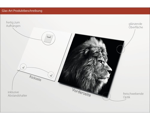 Glasbild mit Löwenmotiv, inklusive Aufhängevorrichtung und Abstandshalter