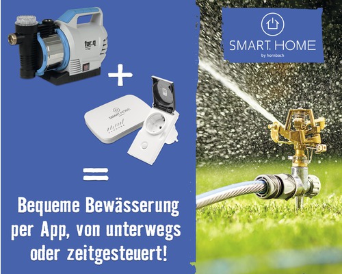 Image d''un système d''arrosage de jardin avec pompe, commande Smart Home et arroseur de pelouse pour un arrosage confortable